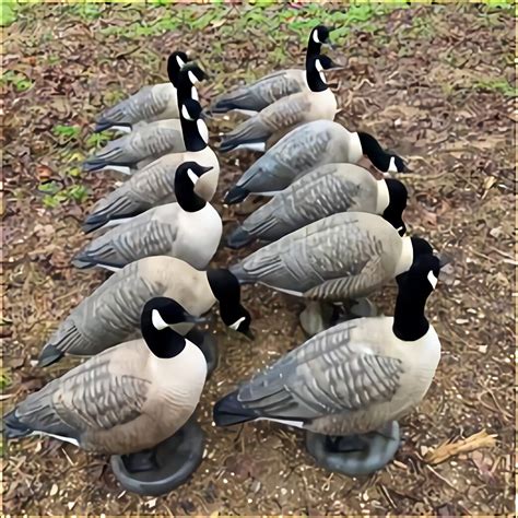 Our mission is to be the brand of choice for waterfowl hunters, by providing products that are not only supremely functional but also life-like to help put more birds in your face. . Used goose decoys for sale near me